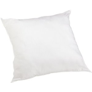 I use a Large Euro Square Bed Pillow instead of any cushions on the market for sitting on. http://www.amazon.com/Perfect-Fit-Thread-Count-Cotton-Square/dp/B0040X3V9U/ref=sr_1_cc_2?s=hpc&amp;ie=UTF8&amp;qid=1324658610&amp;sr=1-2-catcorr